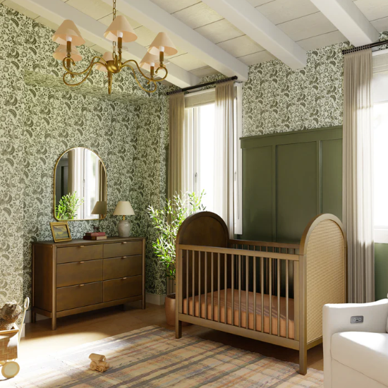 Babyletto Bondi Cane 3-in-1 Convertible Crib