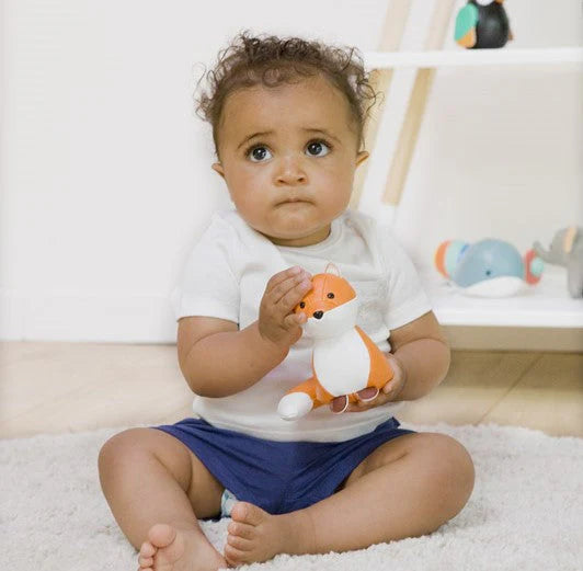 Little big friends Richard the fox