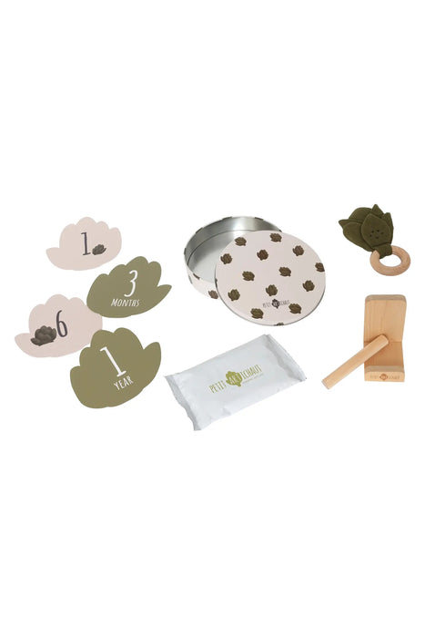 Birth Gift Set - Baby Handprint Kit, Comforter & Milestone Cards | Baby Shower Gift