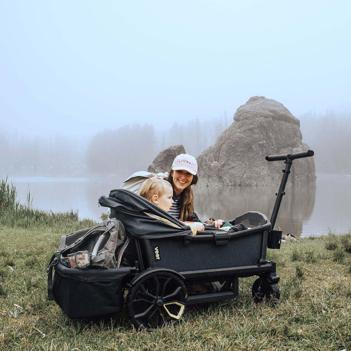 Veer Cruiser Foldable Storage Basket
