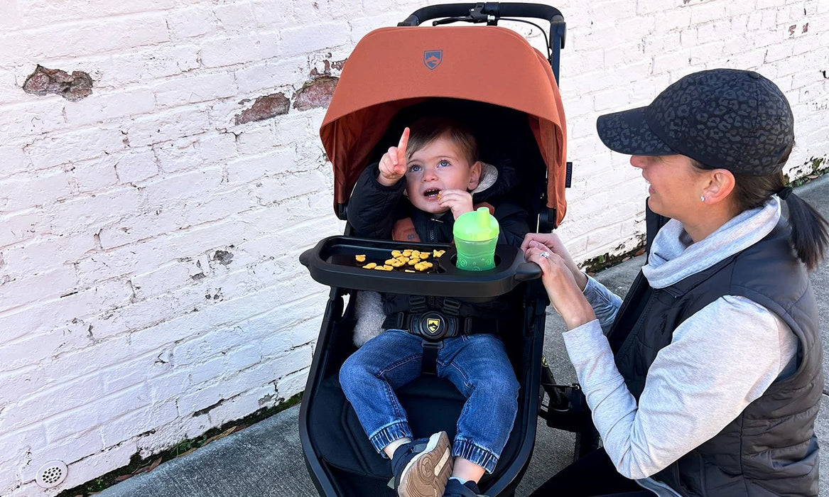 BOB Wayfinder Jogging Stroller