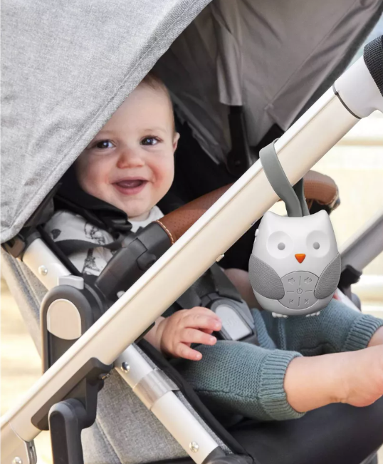 Skip Hop Stroll & Go Portable Owl Baby Soother
