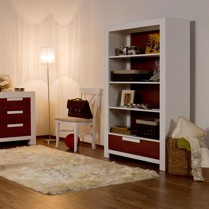 Romina Ventianni Bookcase