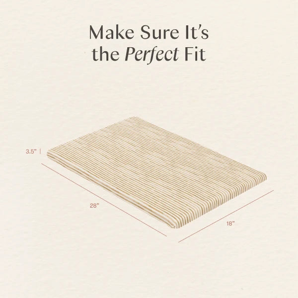 Babyletto All-Stages® Bassinet Sheet in GOTS Certified Organic Brushed Cotton by Nate Berkus
