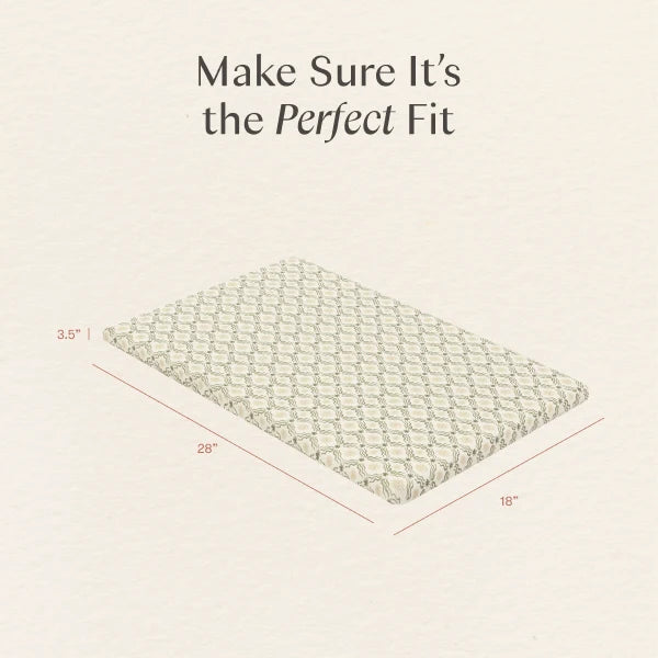 Babyletto All-Stages® Bassinet Sheet in GOTS Certified Organic Brushed Cotton by Nate Berkus
