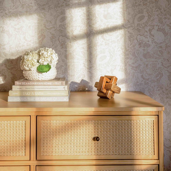 Black Friday Deal! Namesake Marin with Cane 6 Drawer Dresser